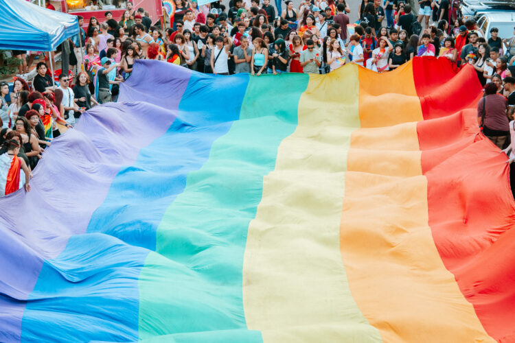 XXIII Parada LGBTQIAPN+ de Campo Grande bate recorde histórico de público com  Karol Conká à frente do line-up