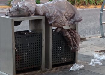 Lojistas do Centro encontram sacos de lixo, lixeiras reviradas e canteiros abandonados na manhã deste sábado na Capital