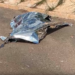 AGORA: Motociclista morre ao colidir no canteiro central da Av. Duque de Caxias