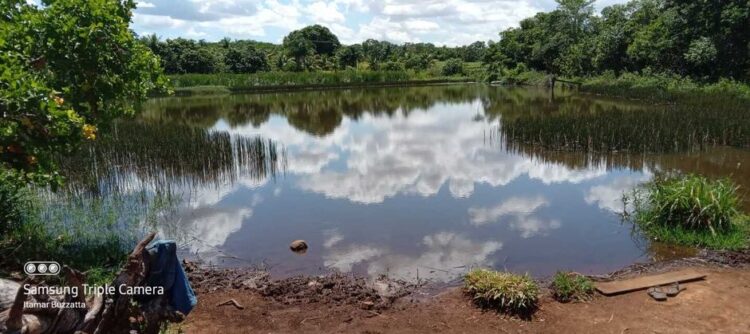 Idoso morre afogado ao entrar em lagoa às margens da MS-162 em Dourados