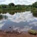 Idoso morre afogado ao entrar em lagoa às margens da MS-162 em Dourados