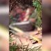 Mulher identificada como Raquel é encontrada morta decapitada na fronteira