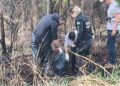 Moradores encontram crânio humano e restos mortais em terreno baldio no Zé Pereira