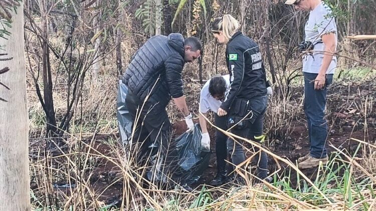 Moradores encontram crânio humano e restos mortais em terreno baldio no Zé Pereira