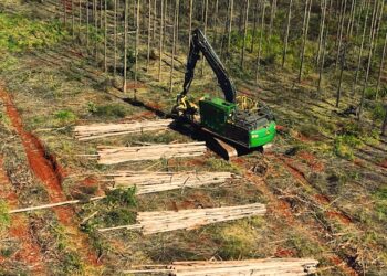 Arauco abre inscrições para qualificação de operadores e mecânicos de máquinas florestais em 6 cidades de MS