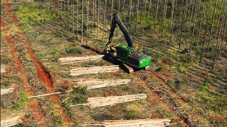 Arauco abre inscrições para qualificação de operadores e mecânicos de máquinas florestais em 6 cidades de MS