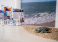 “Água de A a Z”: exposição une ciência e sustentabilidade em imersão interativa sobre água