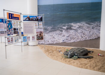 “Água de A a Z”: exposição une ciência e sustentabilidade em imersão interativa sobre água