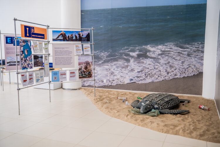 “Água de A a Z”: exposição une ciência e sustentabilidade em imersão interativa sobre água
