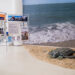 “Água de A a Z”: exposição une ciência e sustentabilidade em imersão interativa sobre água