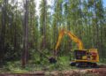 Suzano abre 77 vagas de trainee para o setor florestal em quatro municípios de MS