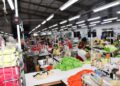 Menos burocracia: Capital tem 149 mil empresas ativas
