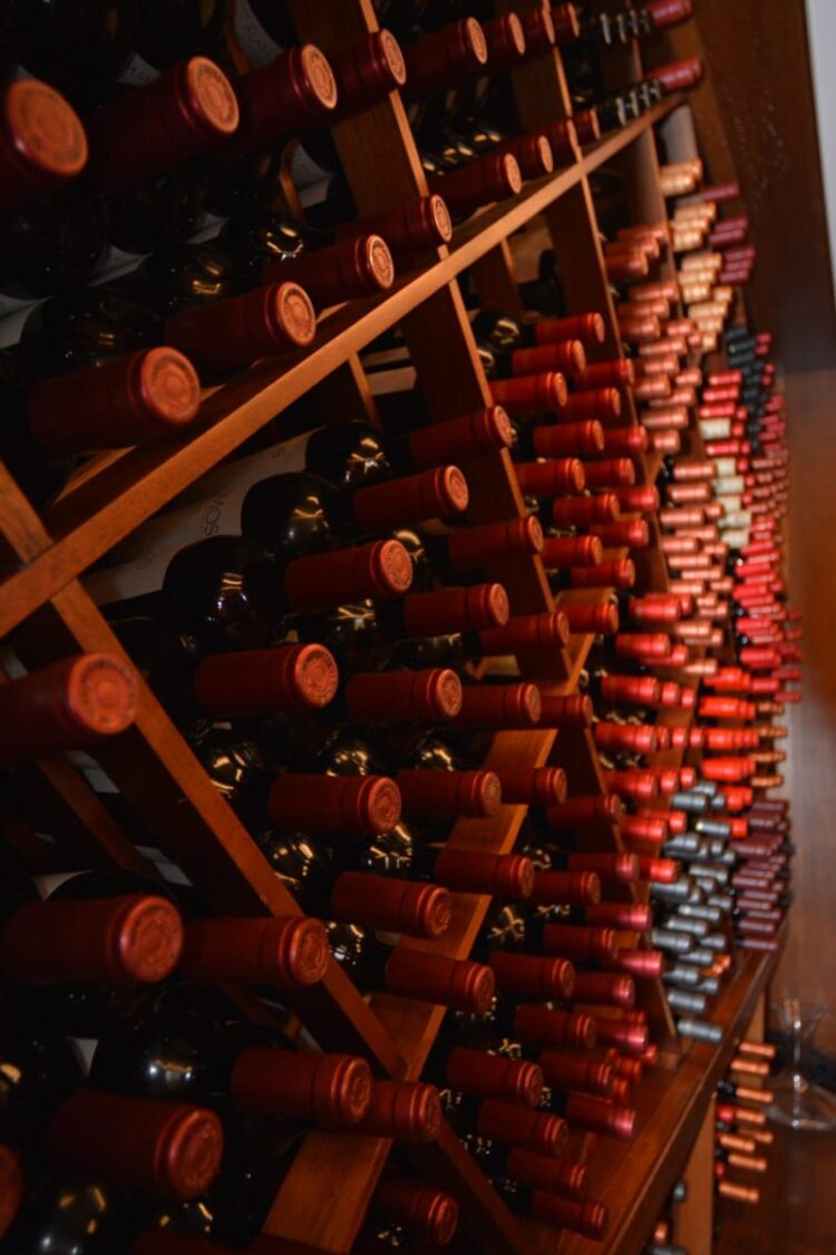 Adega-escola do Senac MS une formação, vinhos e experiências gastronômicas