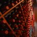 Adega-escola do Senac MS une formação, vinhos e experiências gastronômicas