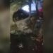 Colisão entre carreta e van Spin mata sete pessoas na MS-386, entre elas, criança de 6 anos