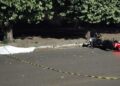 Motociclista de 65 anos morre ao colidir em árvore no Centro de Campo Grande