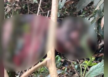 Capataz de fazenda encontra corpo em decomposição na cidade de Caarapó