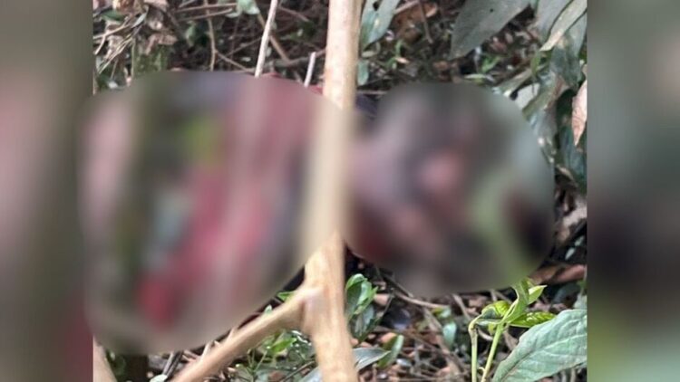 Capataz de fazenda encontra corpo em decomposição na cidade de Caarapó
