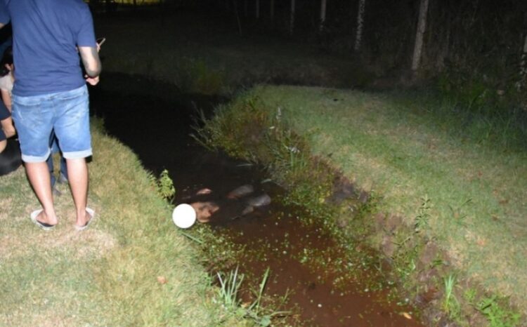 Trio mata jovem em parque ecológico de Maracaju e sai cantando hino do PCC