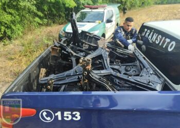 Guarda Municipal localiza quase 80 quadros de motos furtadas em Campo Grande