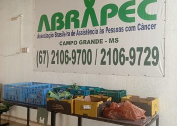 ABRAPEC recebe doação de frutas e legumes por meio de parceria com o Mesa Brasil do SESC