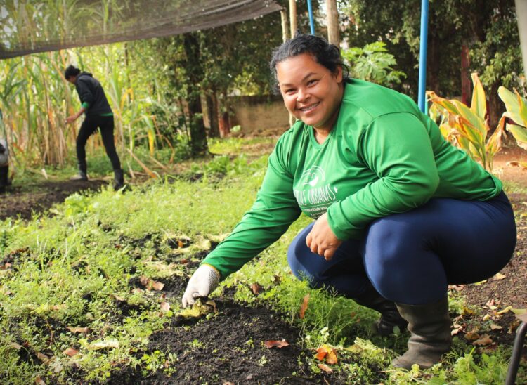Famílias do Centro de Três Lagoas movimentam R$ 163,8 mil com produção de hortaliças