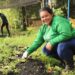 Famílias do Centro de Três Lagoas movimentam R$ 163,8 mil com produção de hortaliças