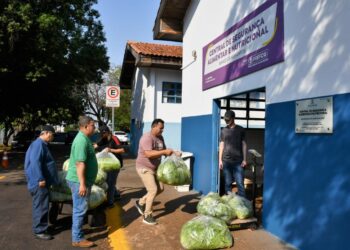 Edital convoca agricultores para fornecer hortifruti ao PAA em Campo Grande