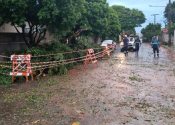 Em tempo recorde, Águas Guariroba mobilizou força-tarefa e usou tecnologia para reduzir impactos de temporal 