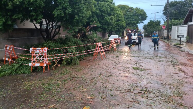 Em tempo recorde, Águas Guariroba mobilizou força-tarefa e usou tecnologia para reduzir impactos de temporal 