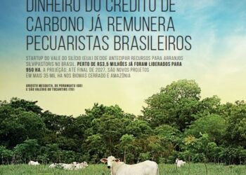 Reportagem sobre sustentabilidade na pecuária brasileira é premiada na Europa