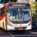 Transporte coletivo será de graça no dia das Eleições em Campo Grande; Confira: