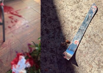 Esquizofrênico, rapaz “vê vulto” e tenta matar a própria mãe a facadas no Jardim Veraneio