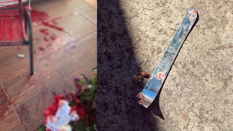 Esquizofrênico, rapaz “vê vulto” e tenta matar a própria mãe a facadas no Jardim Veraneio