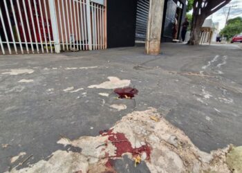 Idoso que “vivia” embriagado, segundo testemunhas, sofre queda e morre no Guanandi