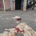Idoso que “vivia” embriagado, segundo testemunhas, sofre queda e morre no Guanandi
