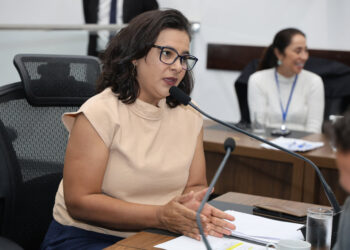 Deputada denuncia promessa de emendas a municípios onde Flávio Bolsonaro tiver mais votos