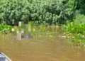 Bombeiros encontram corpo de turista desaparecido no Rio Paraguai em Corumbá