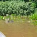 Bombeiros encontram corpo de turista desaparecido no Rio Paraguai em Corumbá