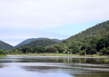 Com chuva e temperatura acima da média, El Niño pode causar onda de calor em MS