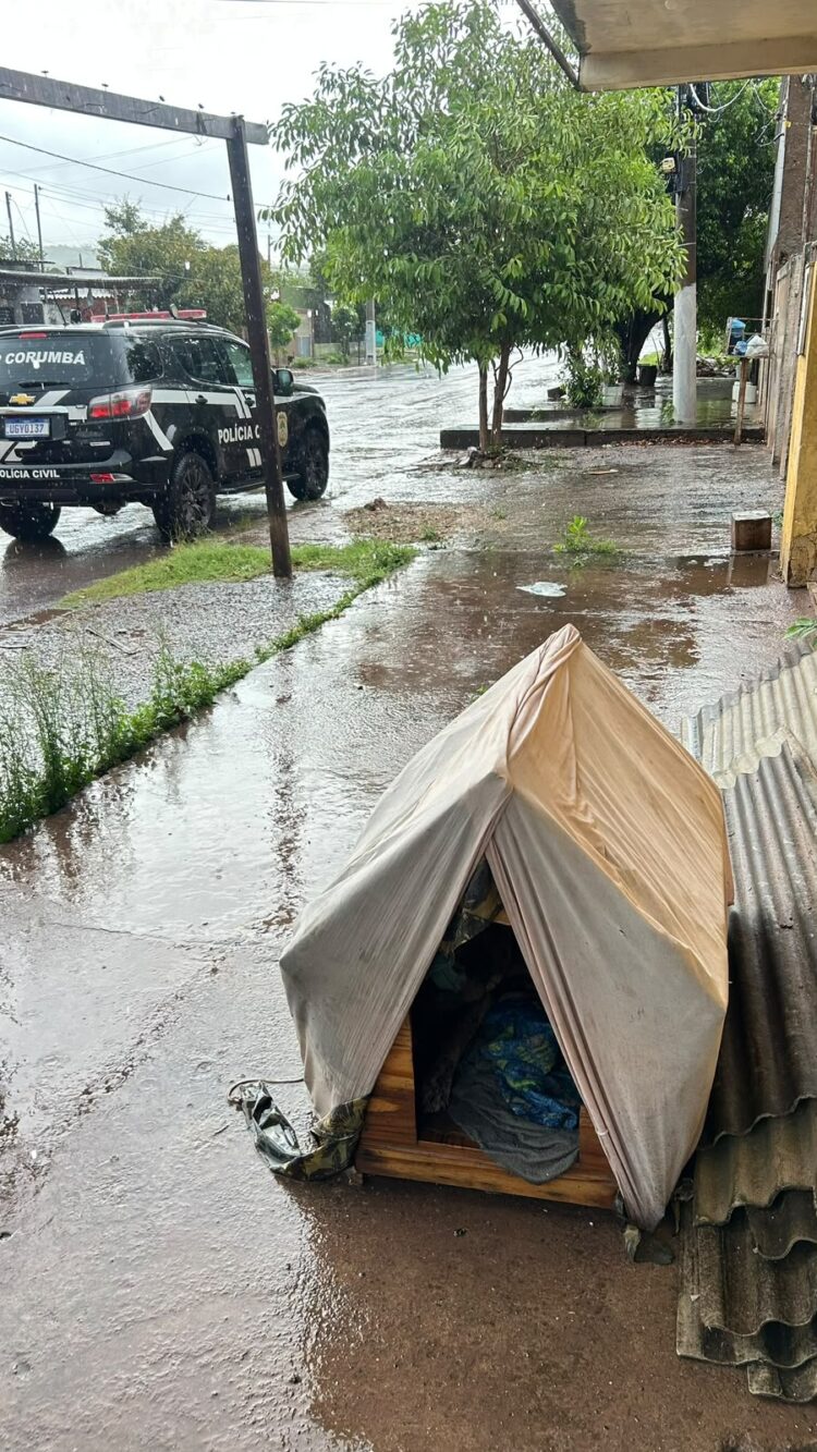 Polícia Civil resgata cachorro vítima de maus-tratos e indicia tutor em Corumbá