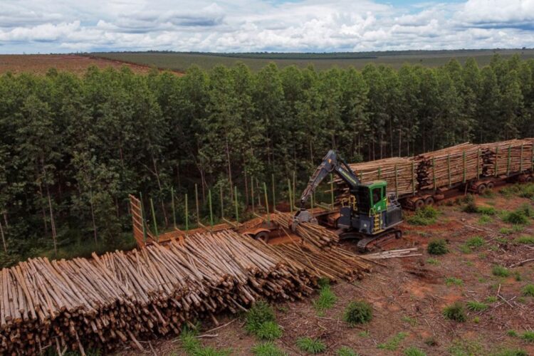 Suzano abre 12 vagas de emprego em Ribas do Rio Pardo, Três Lagoas e Bataguassu