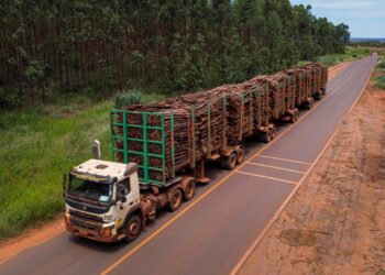 Suzano tem 11 processos seletivos abertos em Ribas do Rio Pardo e Três Lagoas