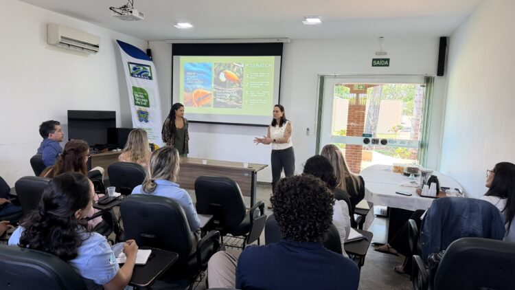 Capacitação reúne técnicos de MS e apresenta modelos e leis utilizadas no mercado de créditos de biodiversidade
