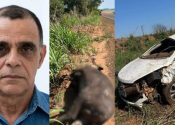 De Cassilândia, Agnaldo morre ao colidir carro cheio de drogas contra anta em Goiás