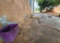 PM mata cachorro a tiros, após o mesmo atacar outros animais e pessoas na Capital