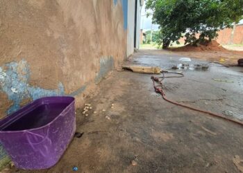 PM mata cachorro a tiros, após o mesmo atacar outros animais e pessoas na Capital