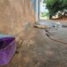 PM mata cachorro a tiros, após o mesmo atacar outros animais e pessoas na Capital