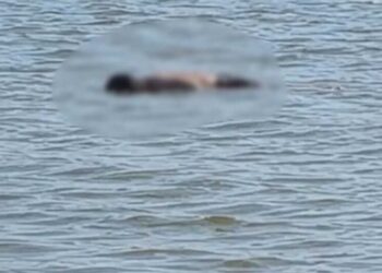 Corpo é encontrado boiando na Lagoa Maior em Três Lagoas